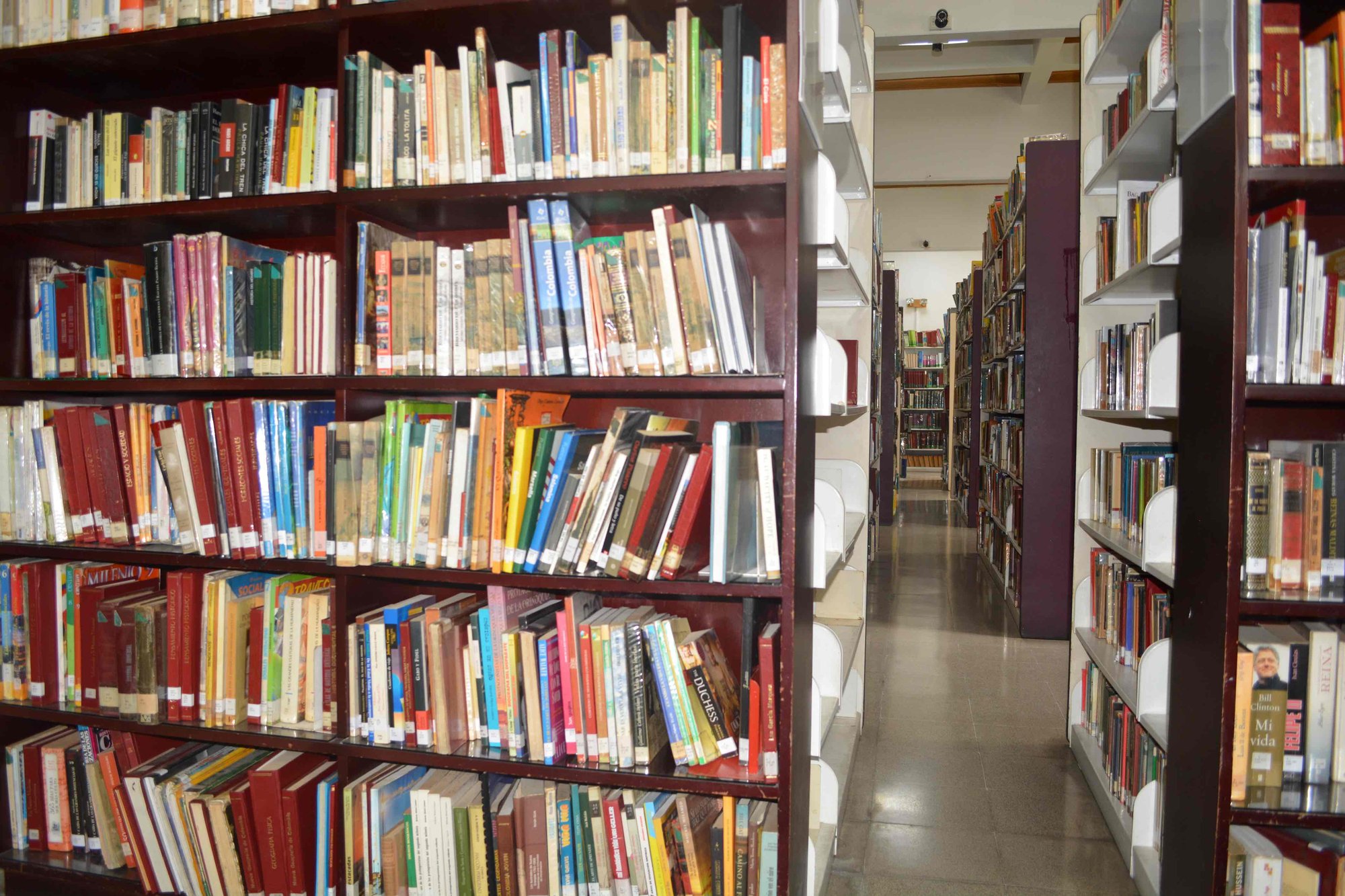 DSC_5234_2_11zon DSC_5234_2_11zon