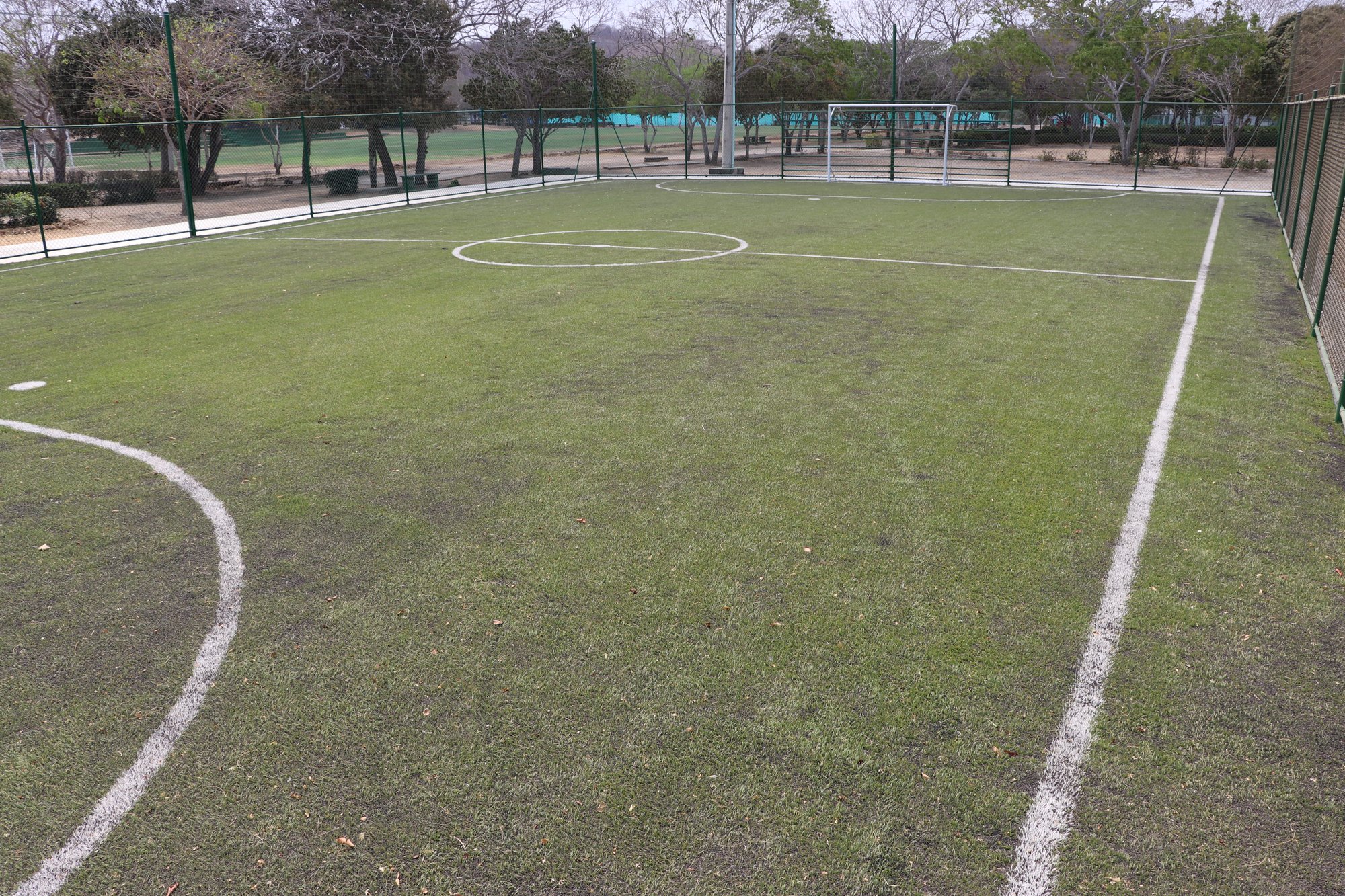 cancha futbol cancha futbol