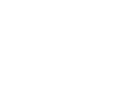 logo-bl
